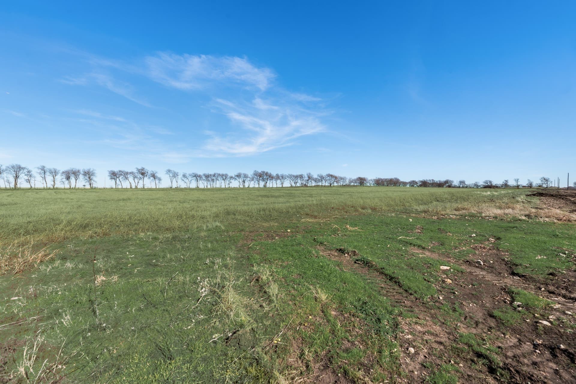 3.1 acres in Denton County - photo 5