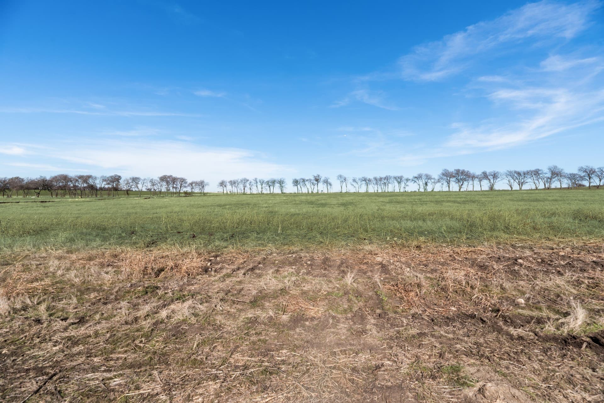 3.1 acres in Denton County - photo 7