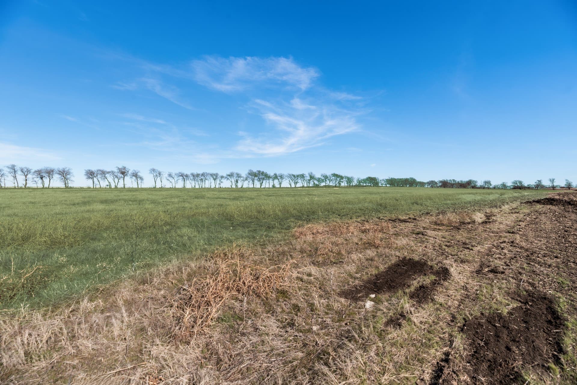3.1 acres in Denton County - photo 6
