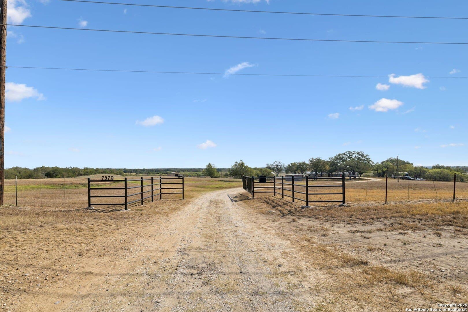 23.73 acres in Wilson County gallery image 2