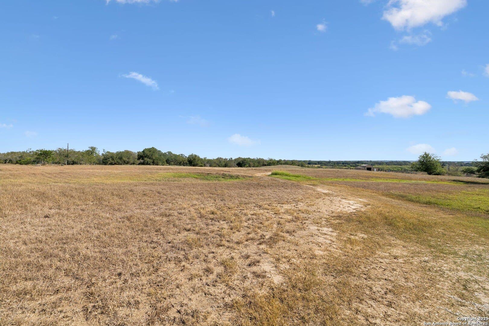 23.73 acres in Wilson County gallery image 4