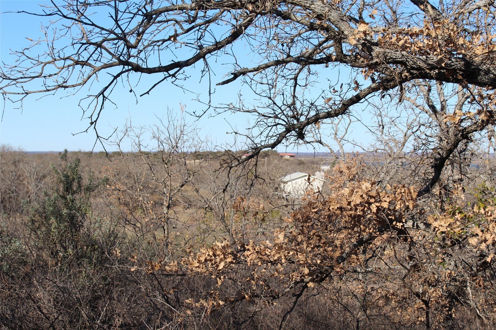 15 acres in Stephens County gallery image 2