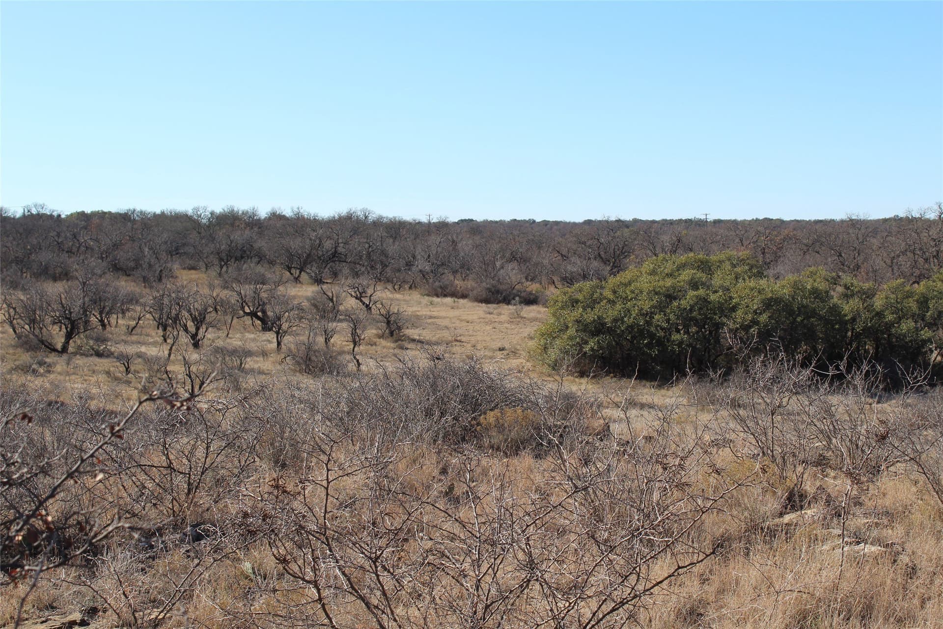 15 acres in Stephens County gallery image 3