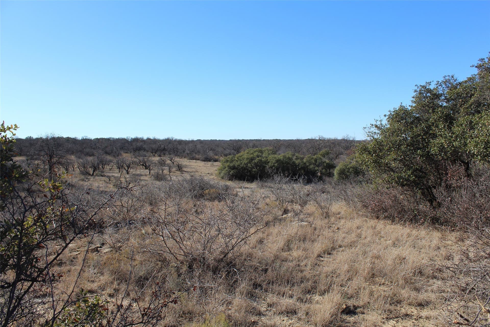 15 acres in Stephens County gallery image 4