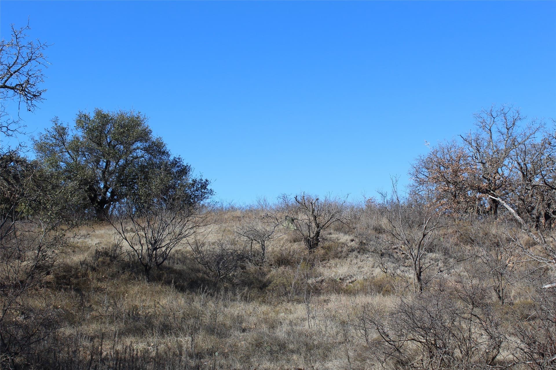 15 acres in Stephens County