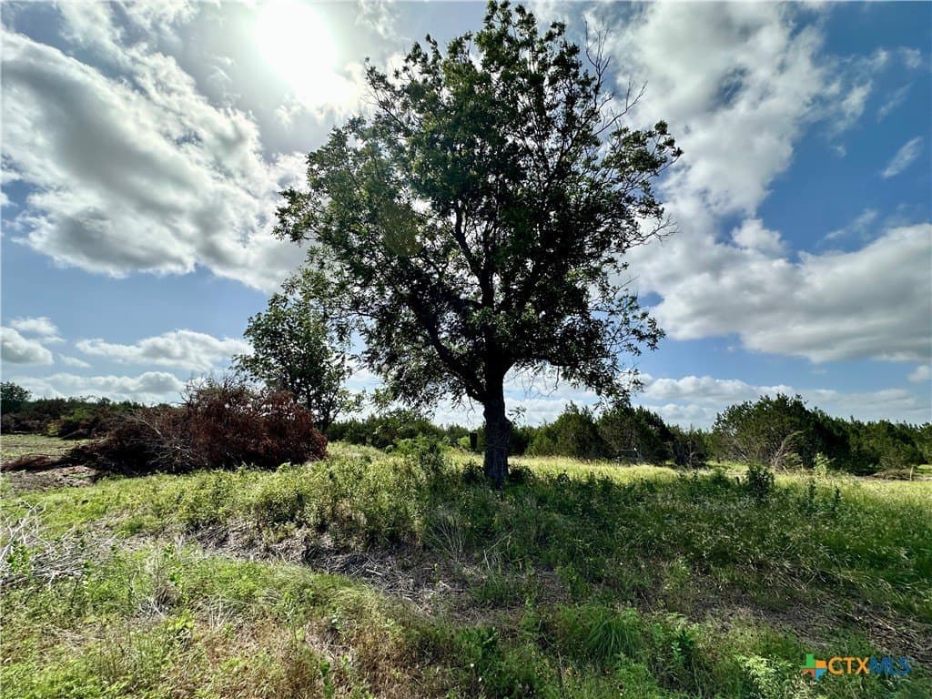 75 acres in Lampasas County featured view