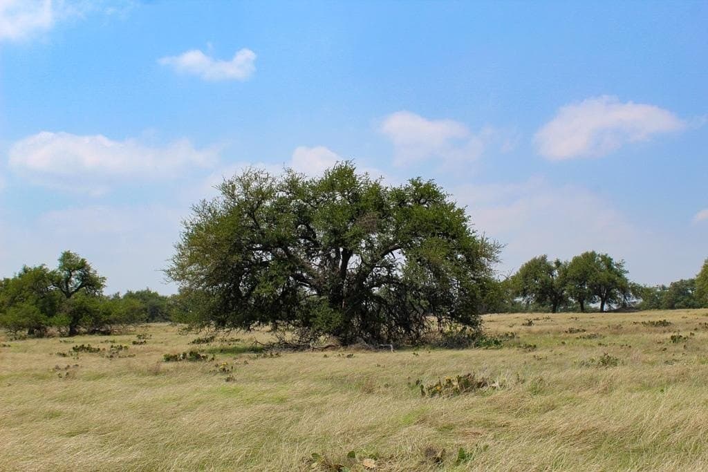 5.68 acres in Kerr County