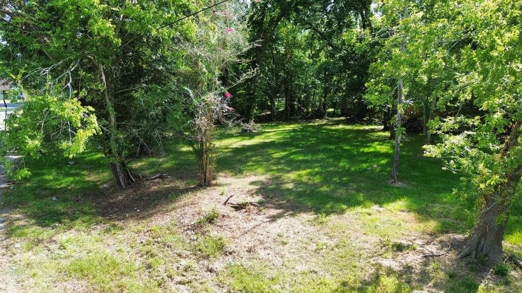 0.32 acres in Texas County - photo 4