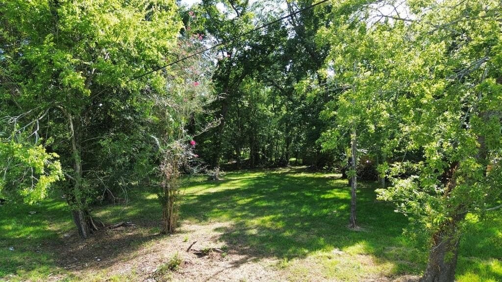 0.32 acres in Texas County - photo 3