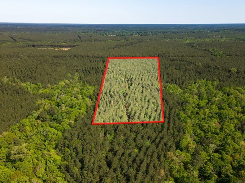 12 acres in Texas County - photo 8