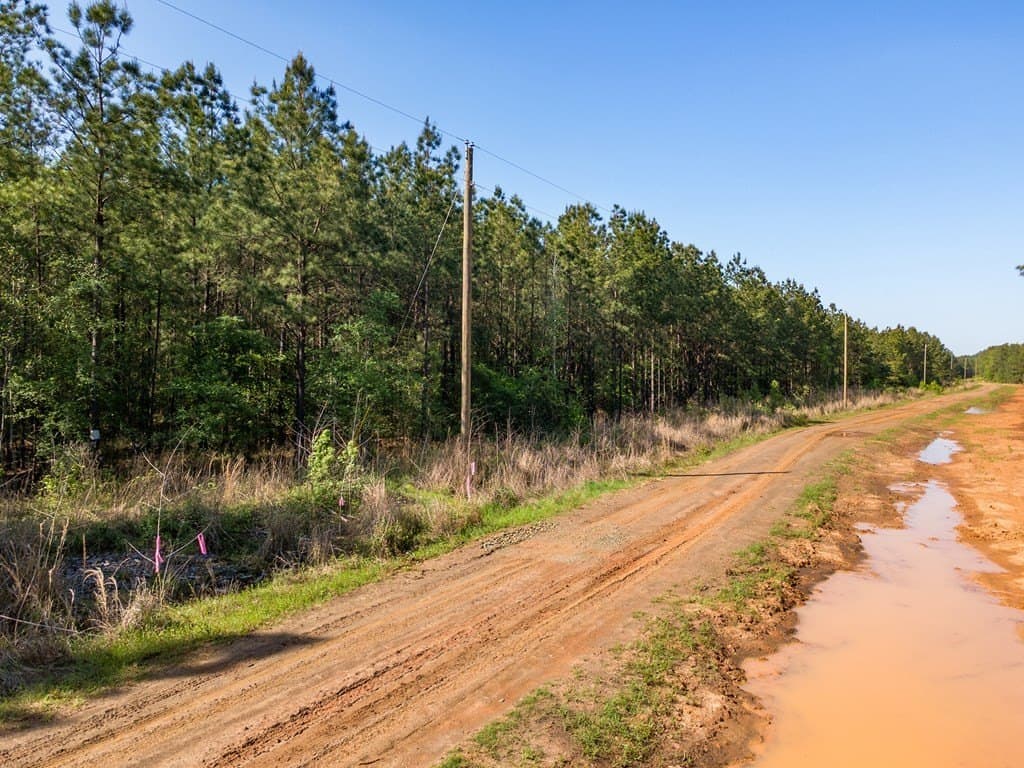 12 acres in Texas County - photo 13