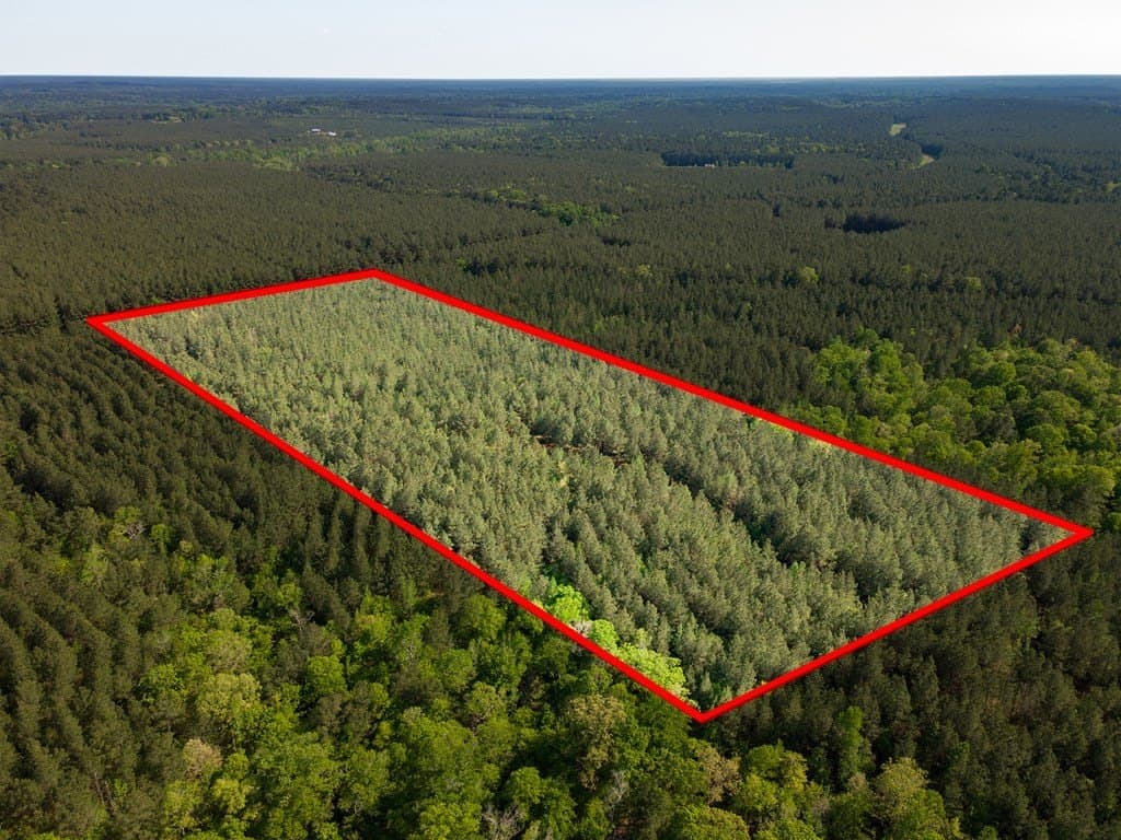 12 acres in Texas County - photo 11