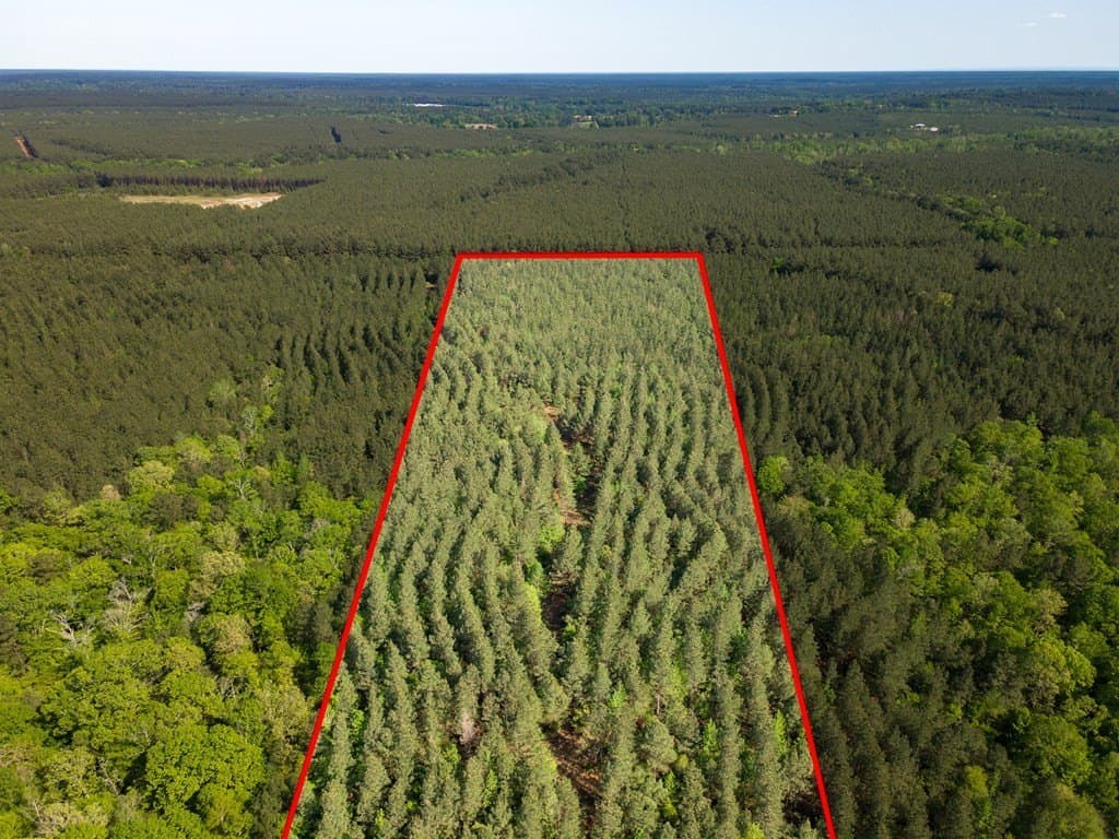 12 acres in Texas County - photo 10