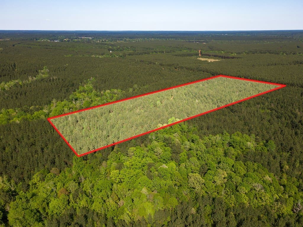 12 acres in Texas County - photo 7