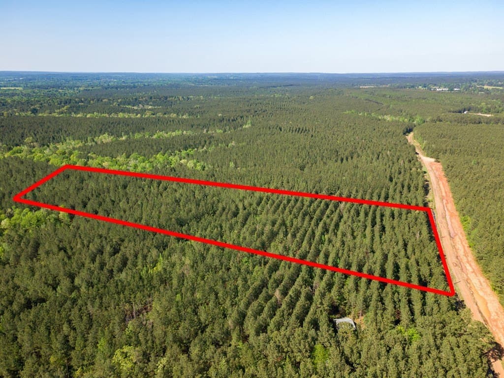 12 acres in Texas County - photo 6