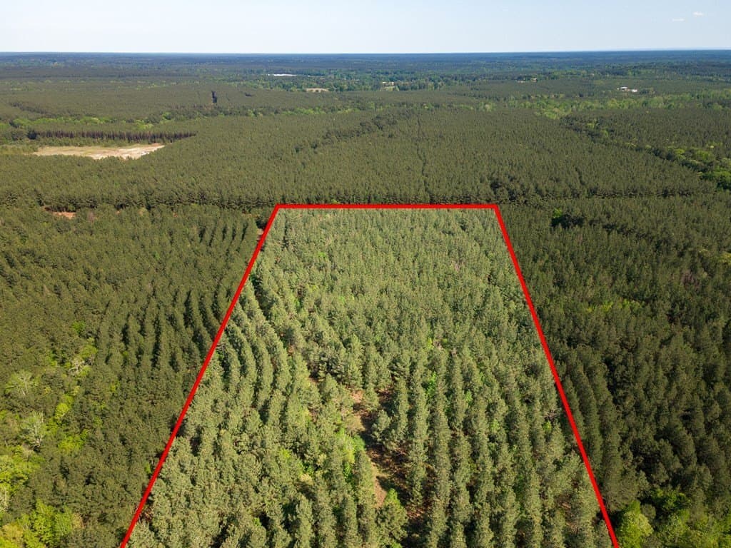 12 acres in Texas County - photo 9