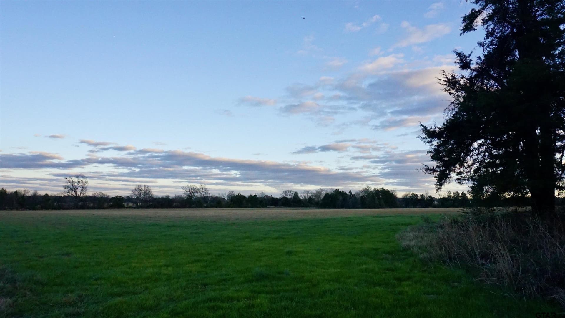 22.76 acres in Wood County - photo 5