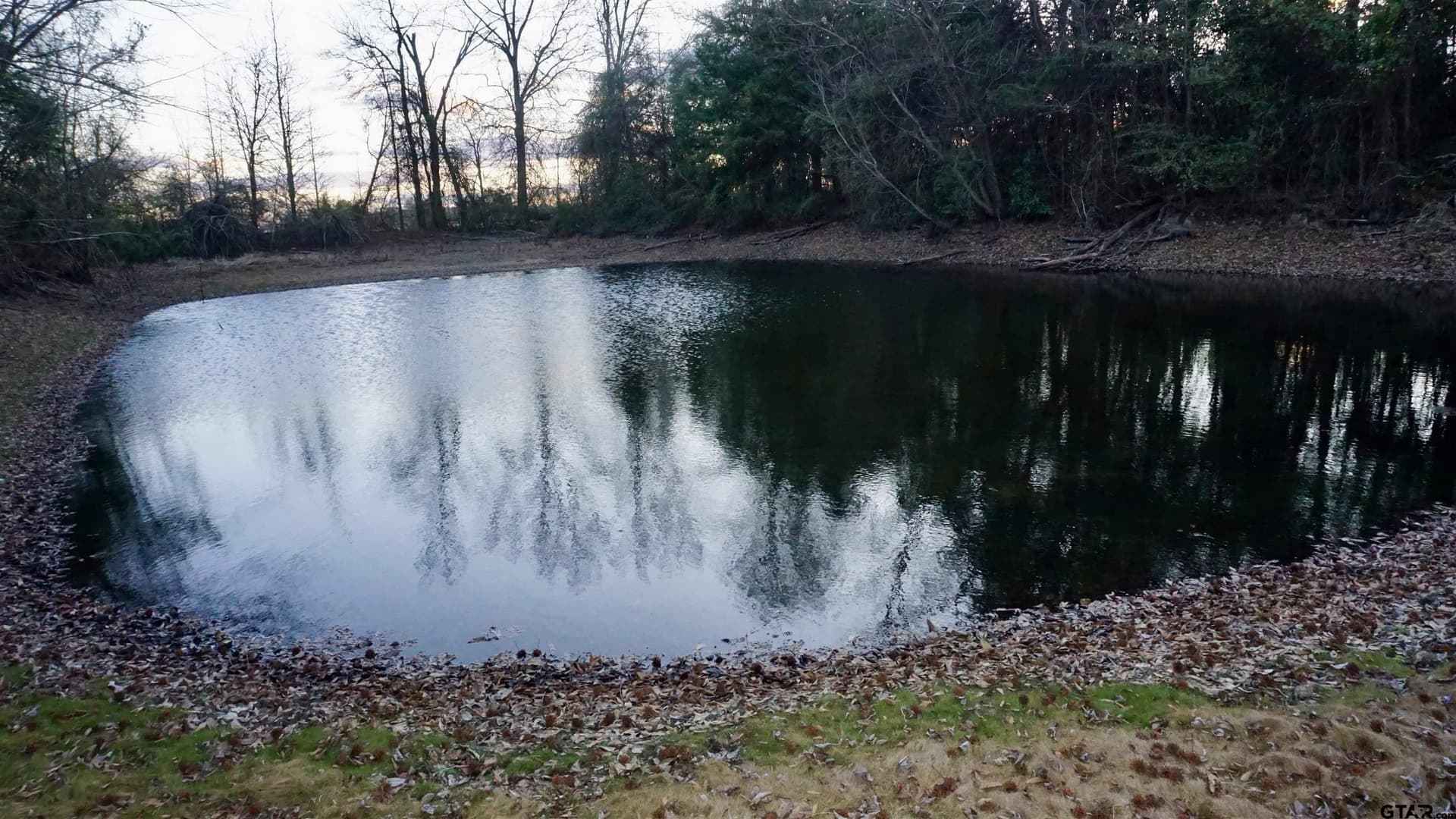 22.76 acres in Wood County - photo 9