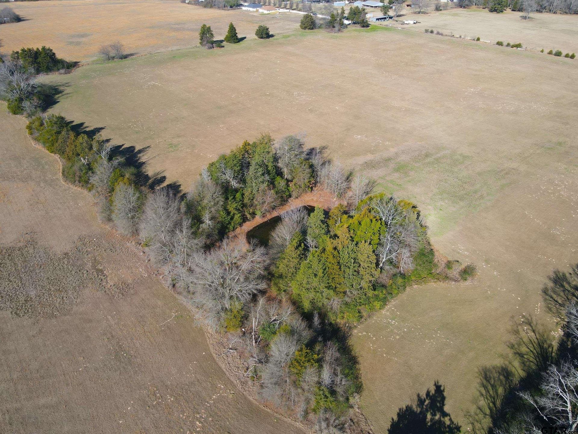 22.76 acres in Wood County - photo 26