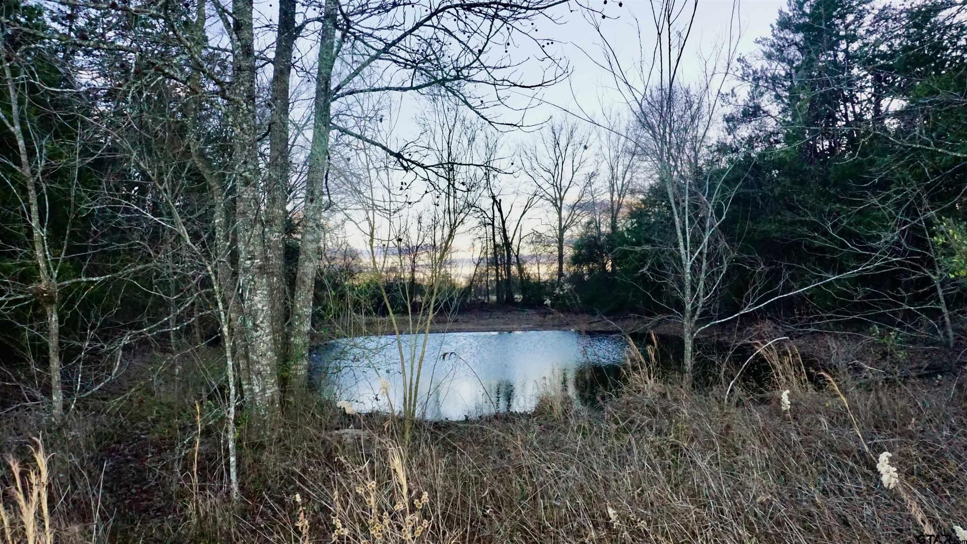 22.76 acres in Wood County - photo 6