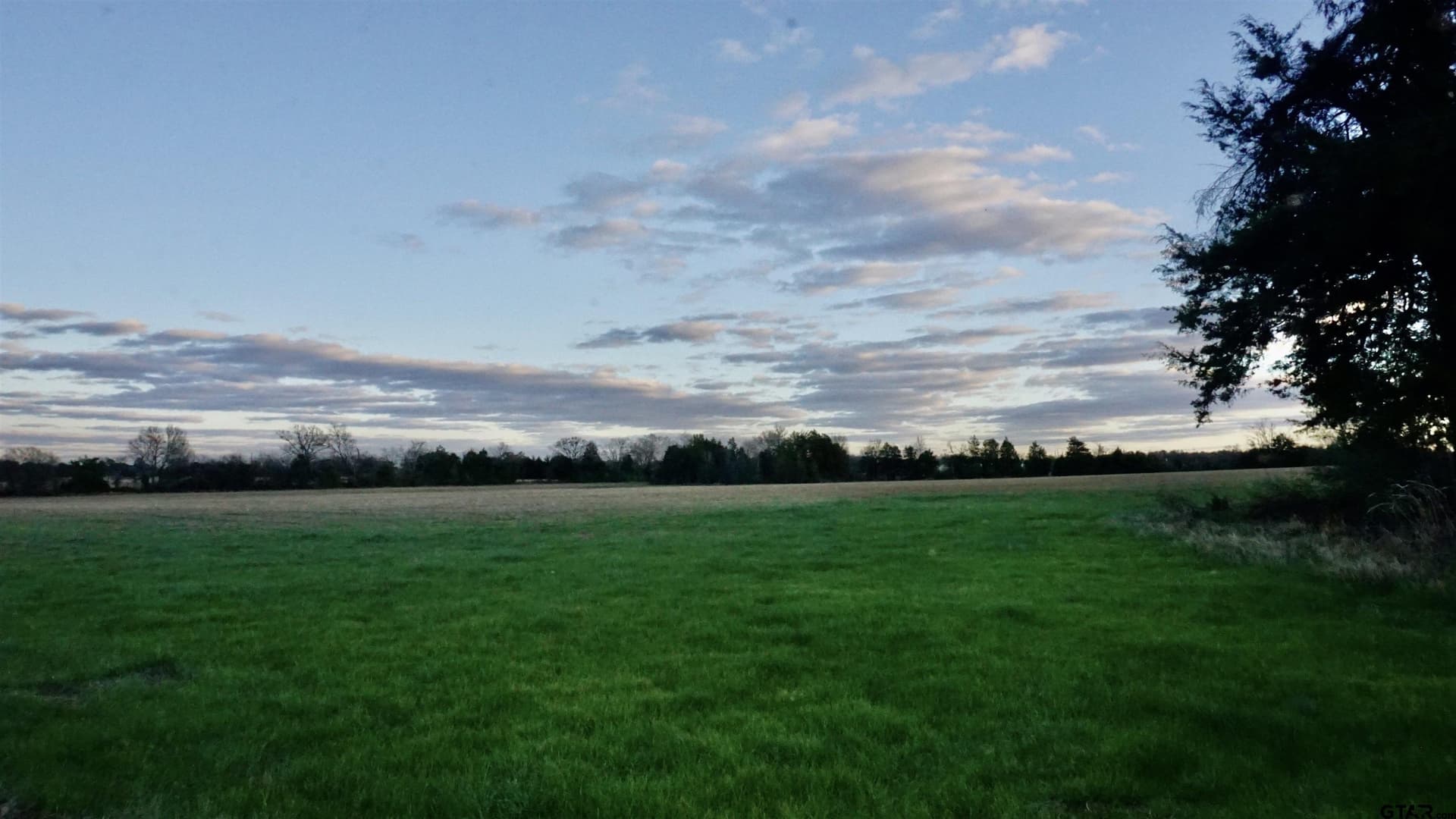 22.76 acres in Wood County - photo 12