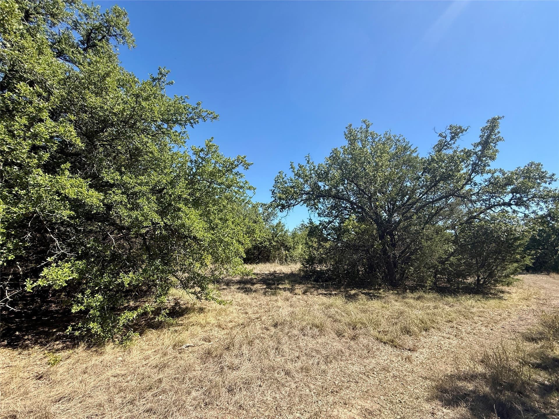 120 acres in Hamilton County - photo 12