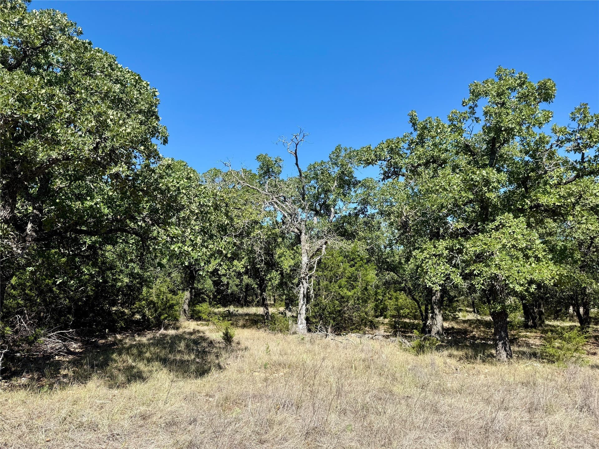 120 acres in Hamilton County - photo 19
