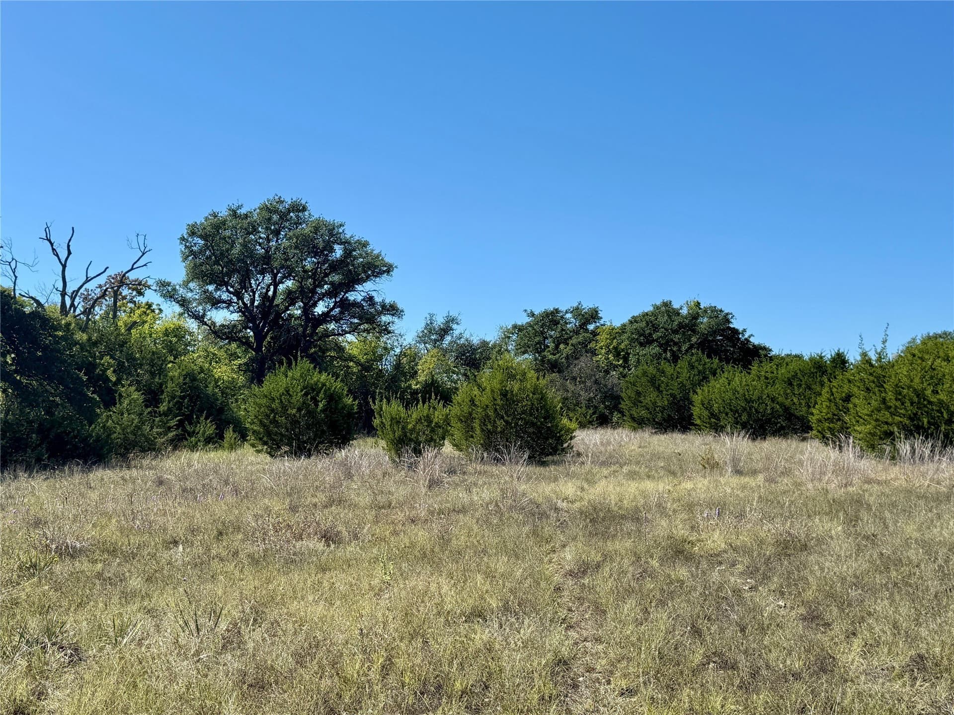 120 acres in Hamilton County - photo 24