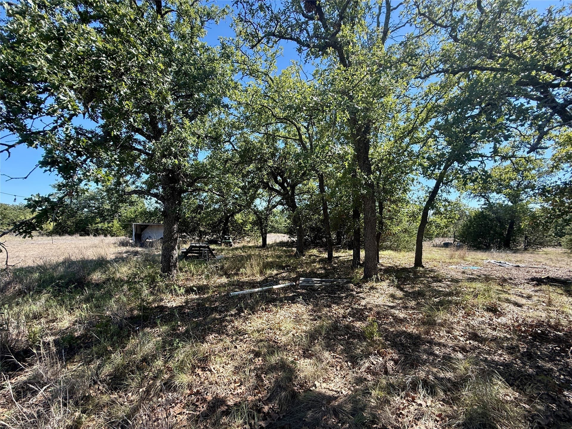 120 acres in Hamilton County - photo 15