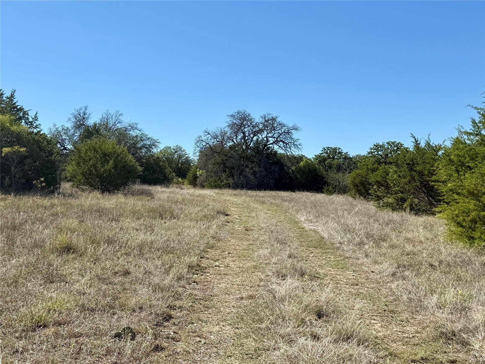 120 acres in Hamilton County - photo 21