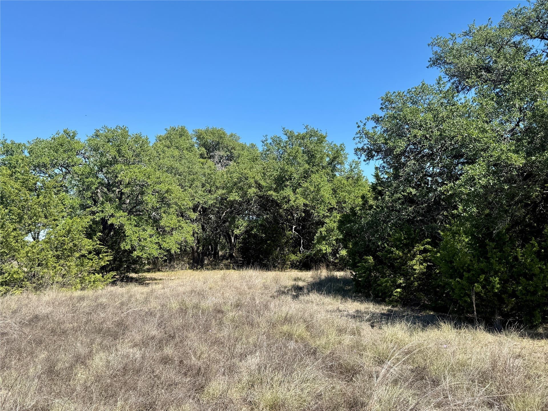 120 acres in Hamilton County - photo 9