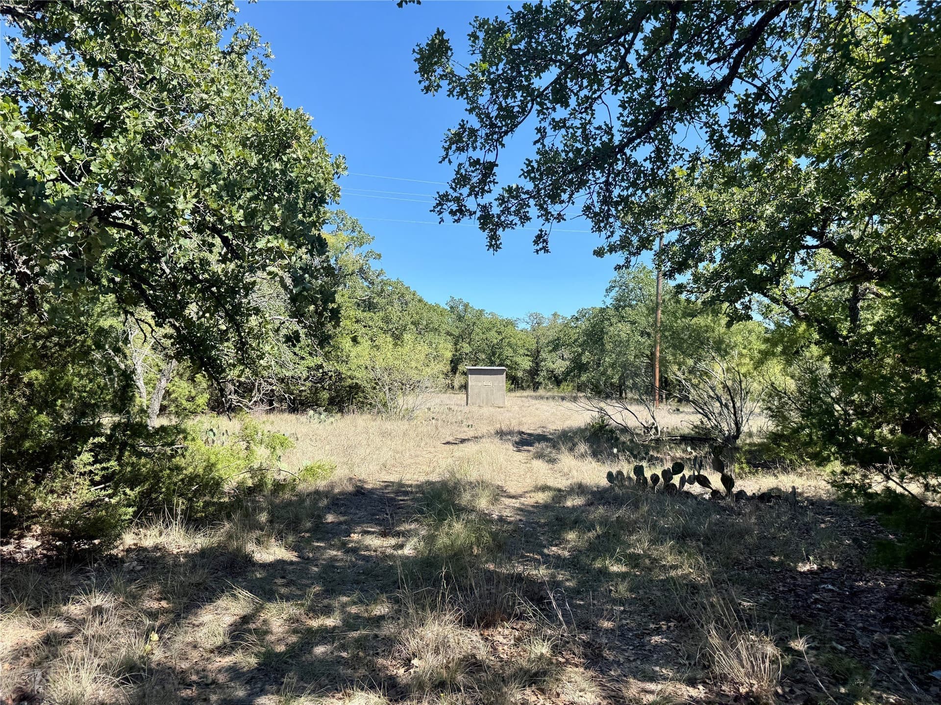 120 acres in Hamilton County - photo 8
