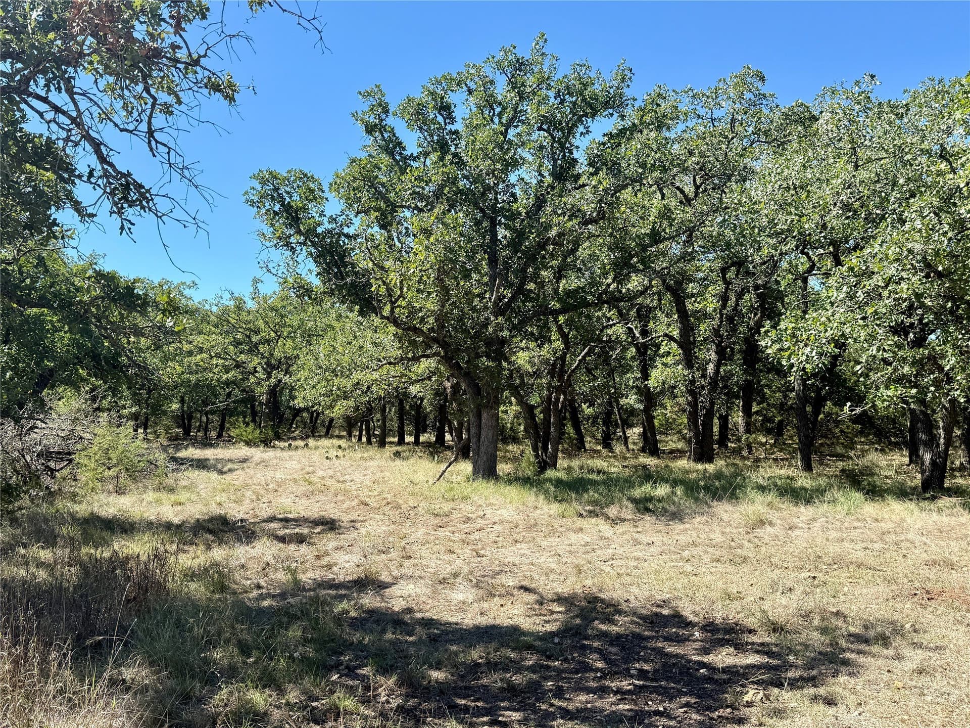 120 acres in Hamilton County - photo 20