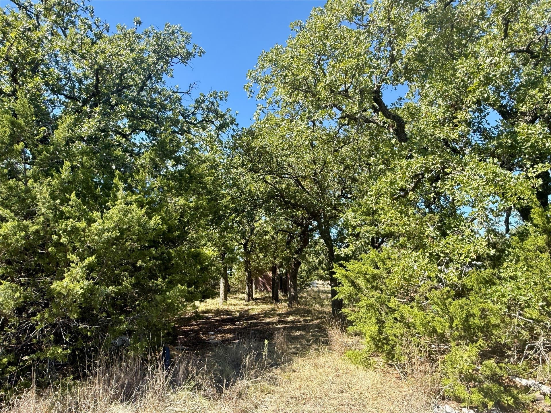 120 acres in Hamilton County - photo 17