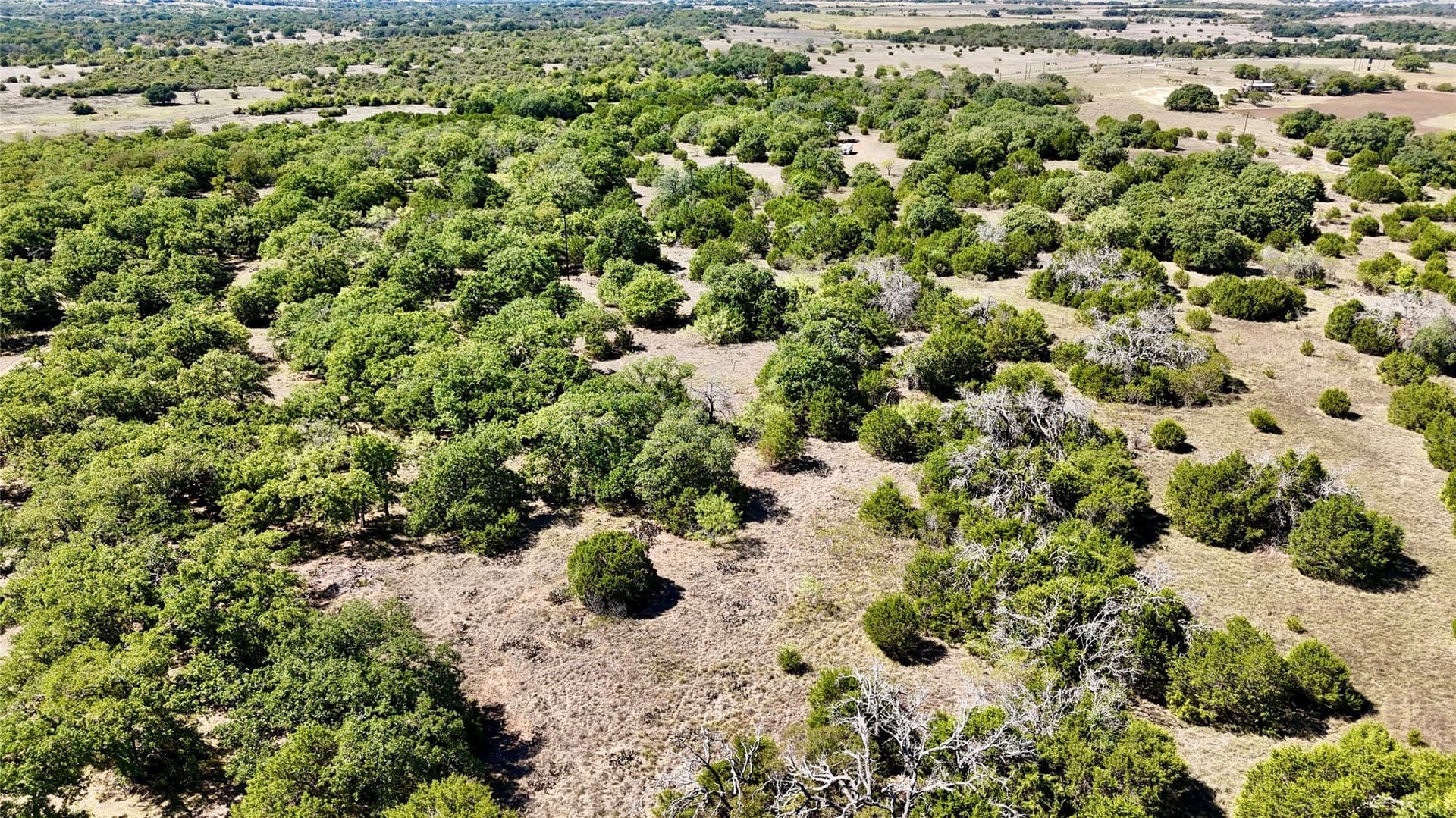 120 acres in Hamilton County - photo 37