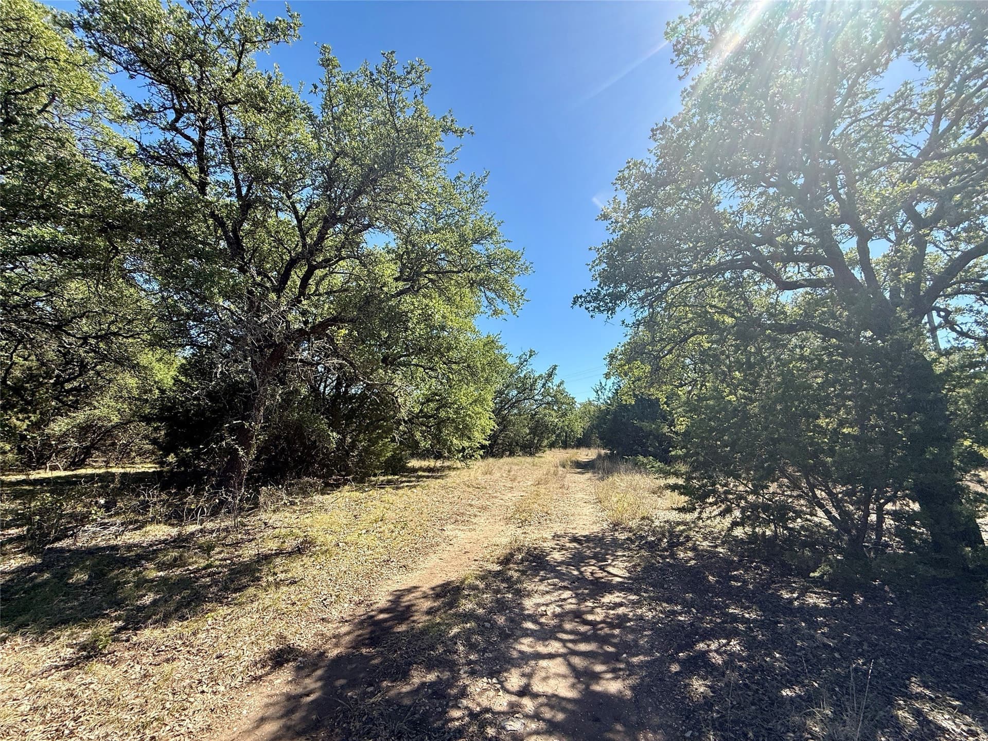 120 acres in Hamilton County - photo 14