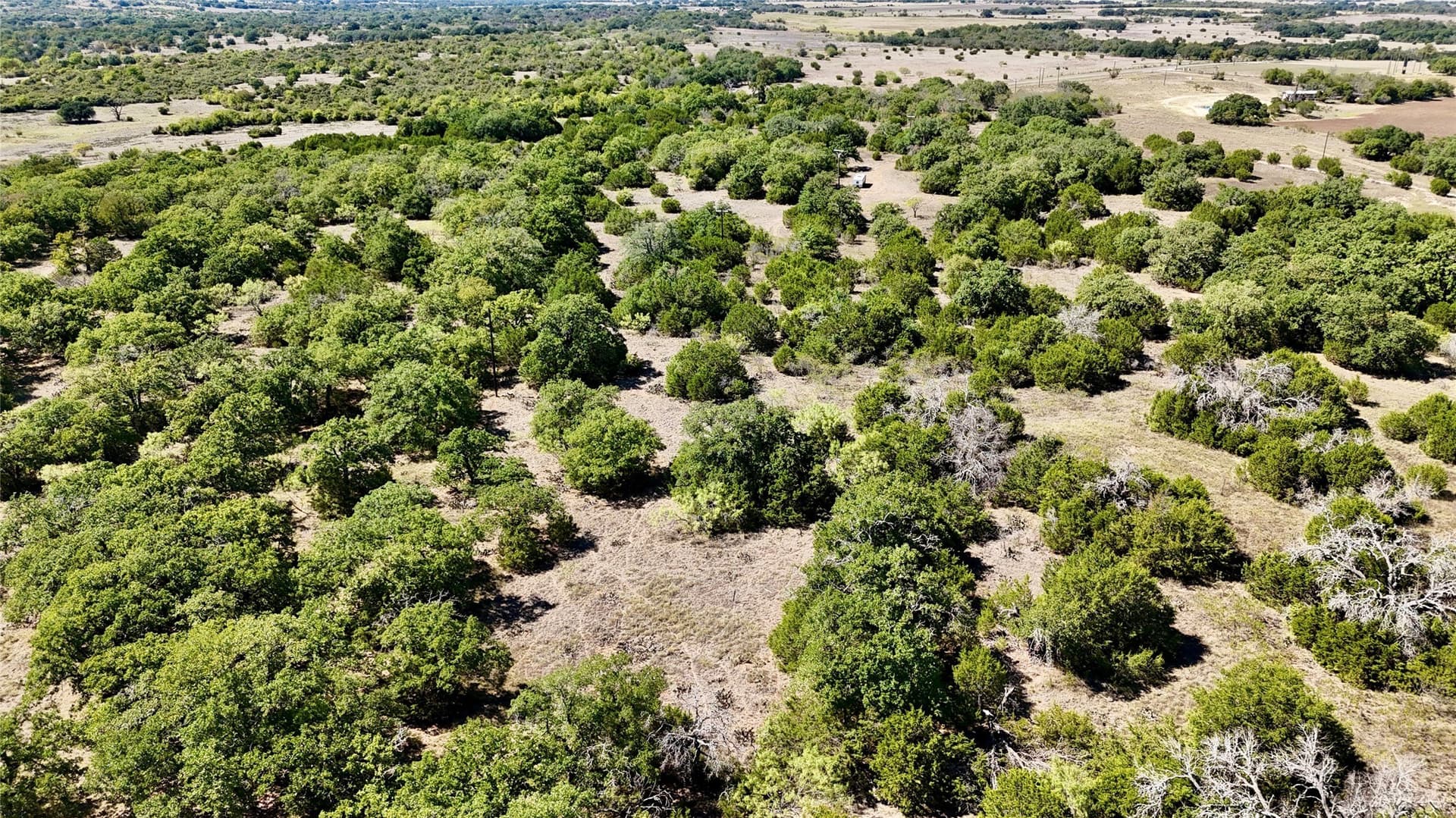 120 acres in Hamilton County - photo 38
