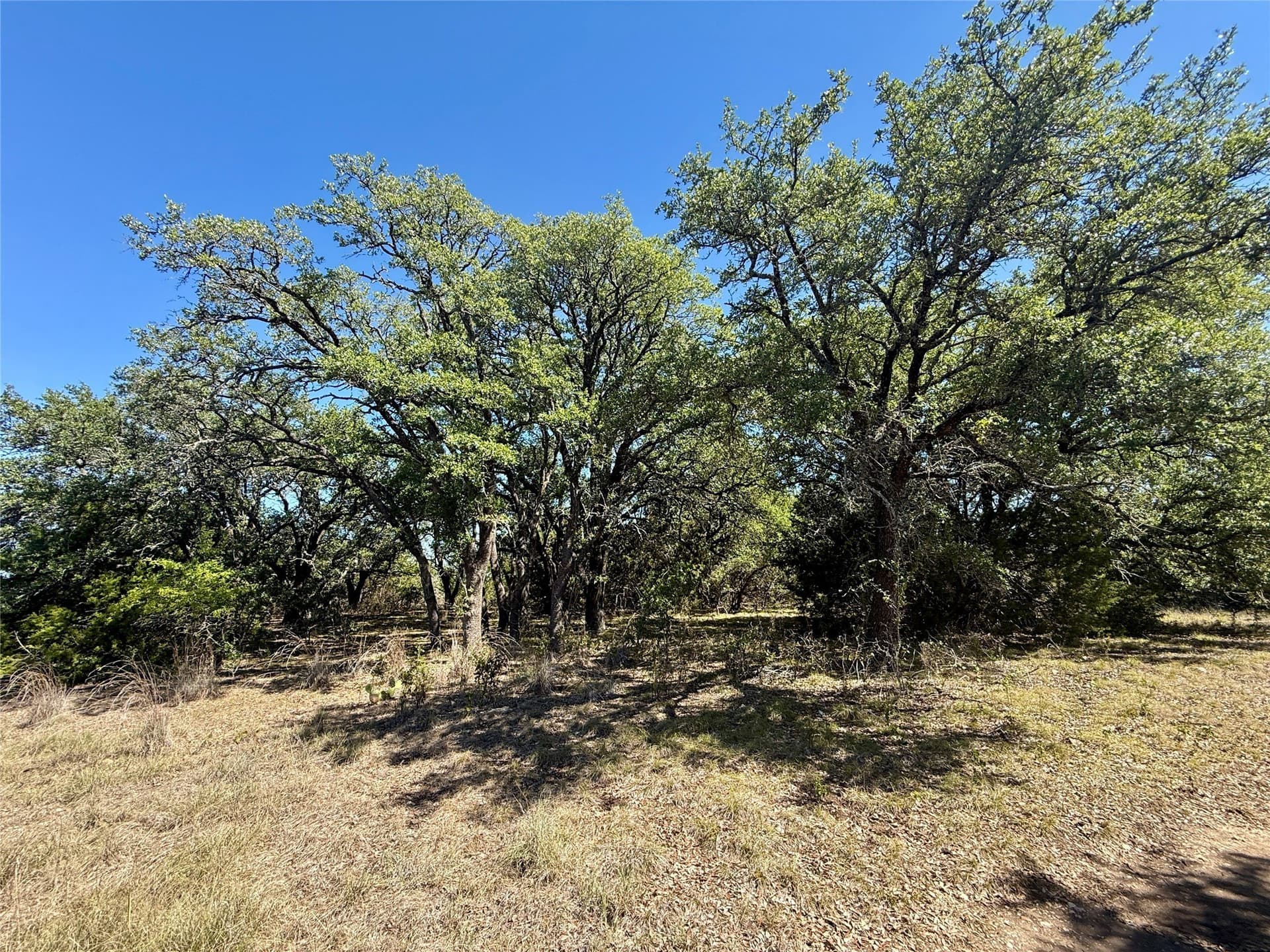 120 acres in Hamilton County - photo 11