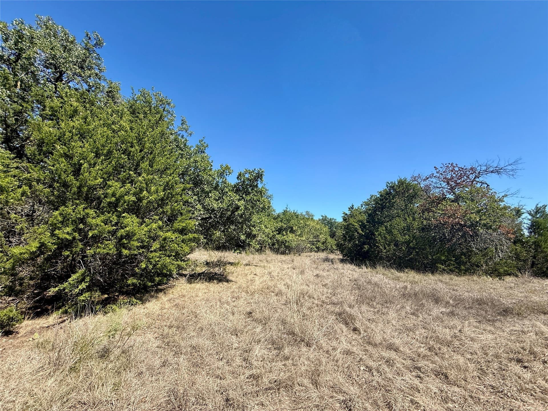 120 acres in Hamilton County - photo 13