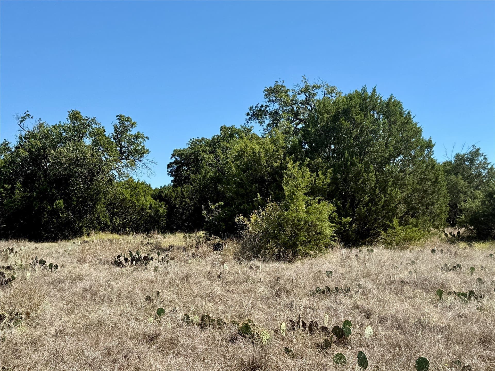 120 acres in Hamilton County - photo 22