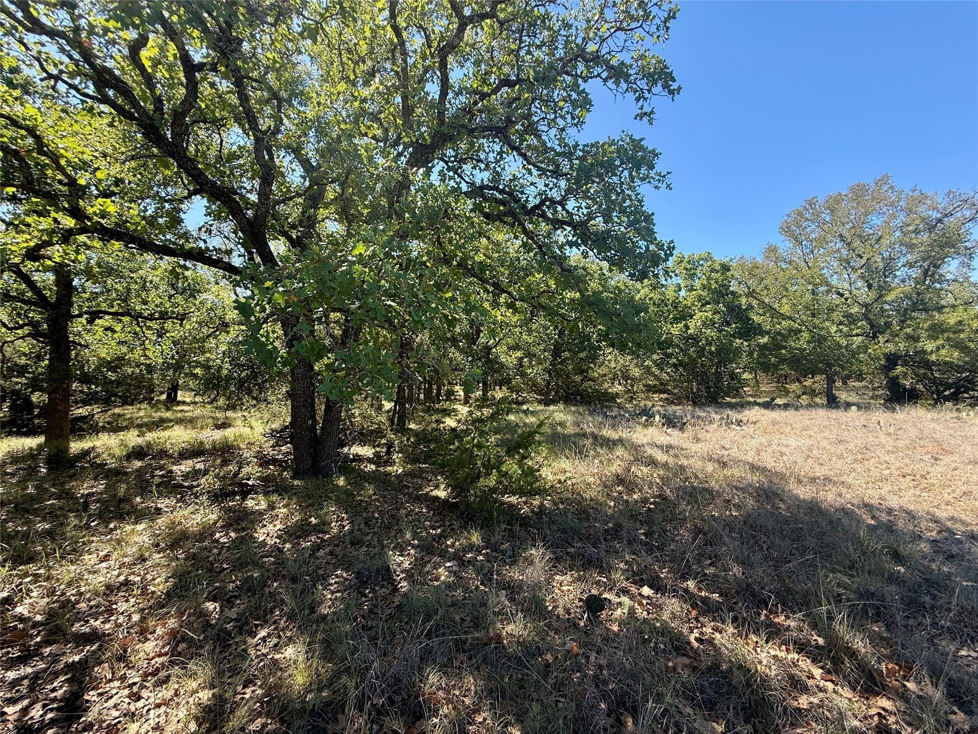 120 acres in Hamilton County - photo 18