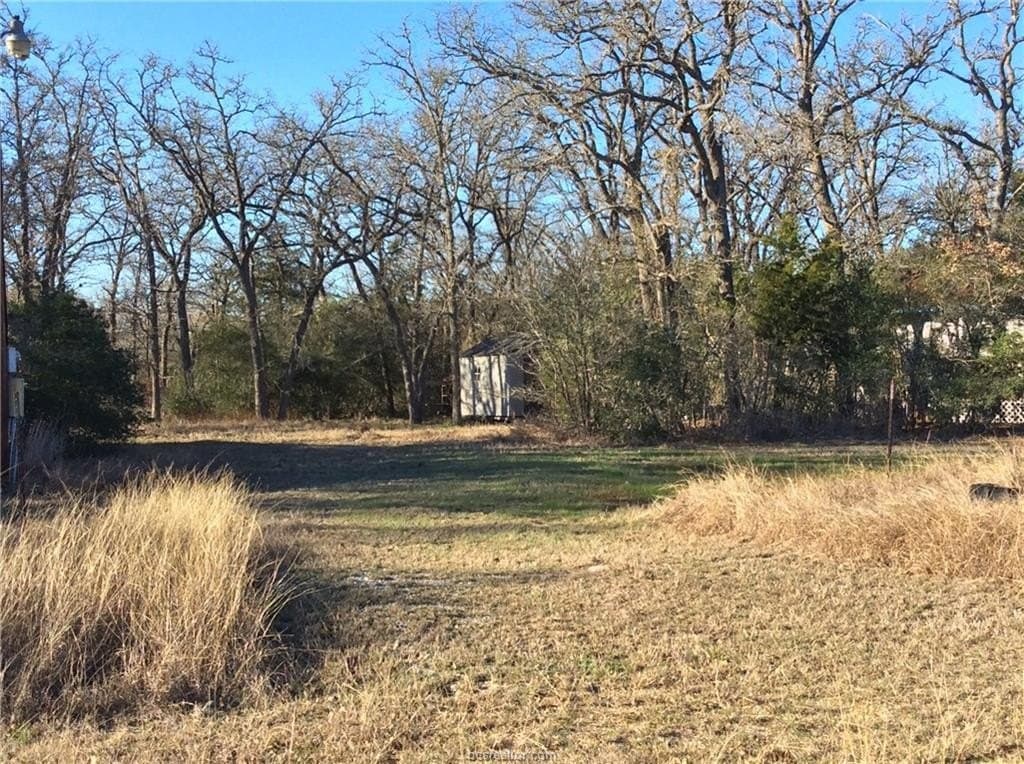 0.57 acres in Burleson County - photo 14