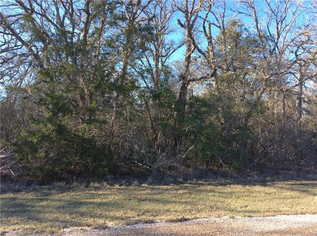 0.57 acres in Burleson County - photo 9