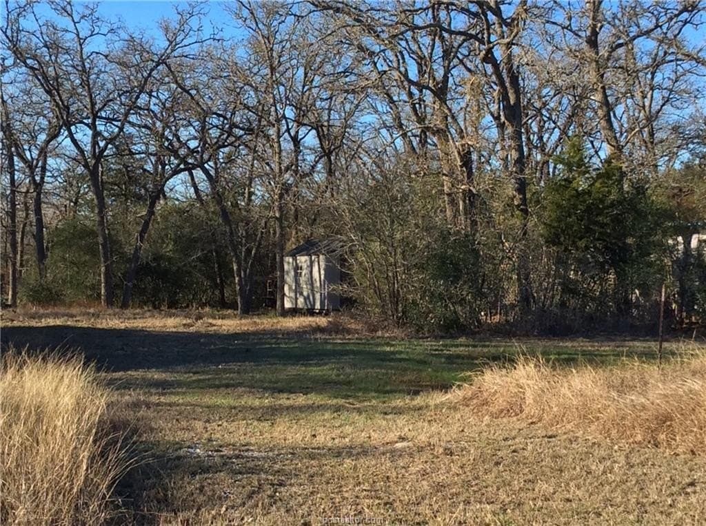 0.57 acres in Burleson County gallery image 2