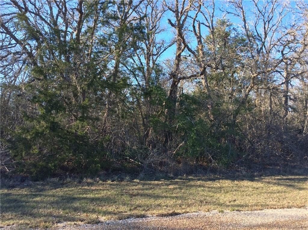 0.57 acres in Burleson County - photo 18