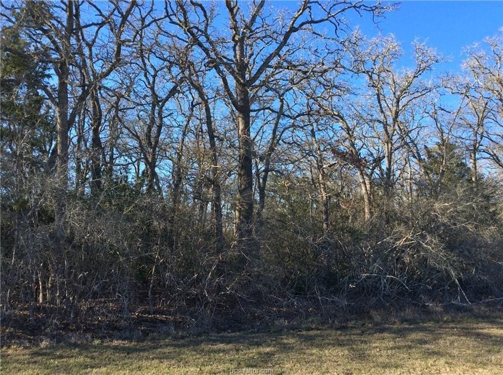 0.57 acres in Burleson County - photo 17