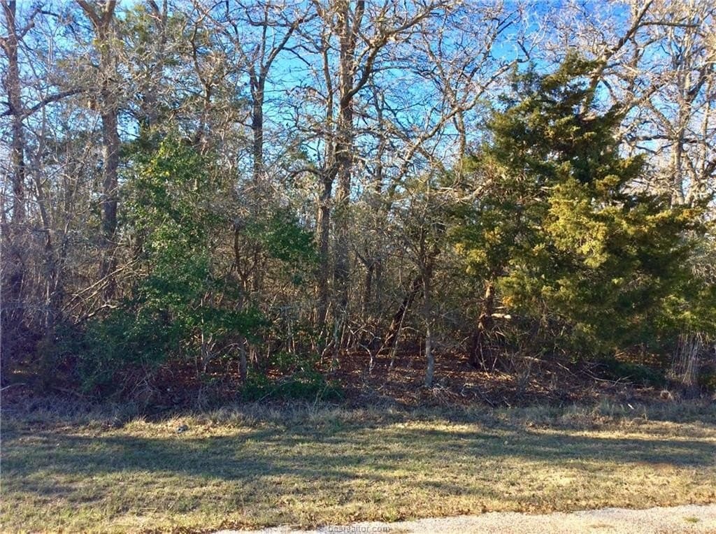 0.57 acres in Burleson County gallery image 4