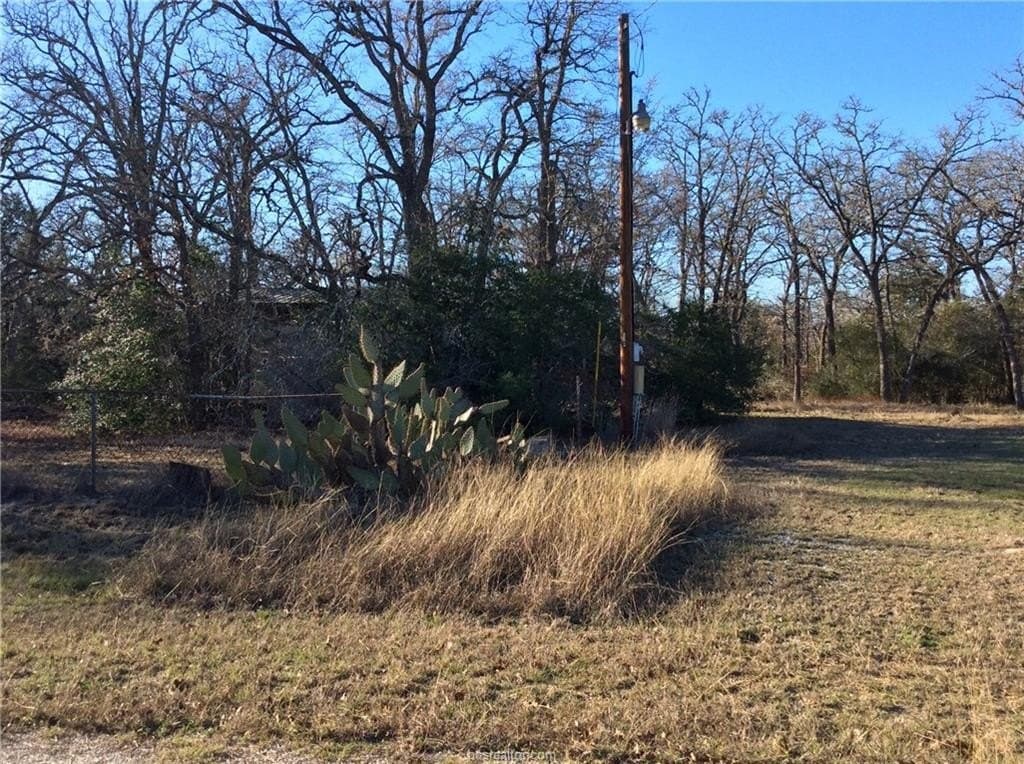0.57 acres in Burleson County - photo 11