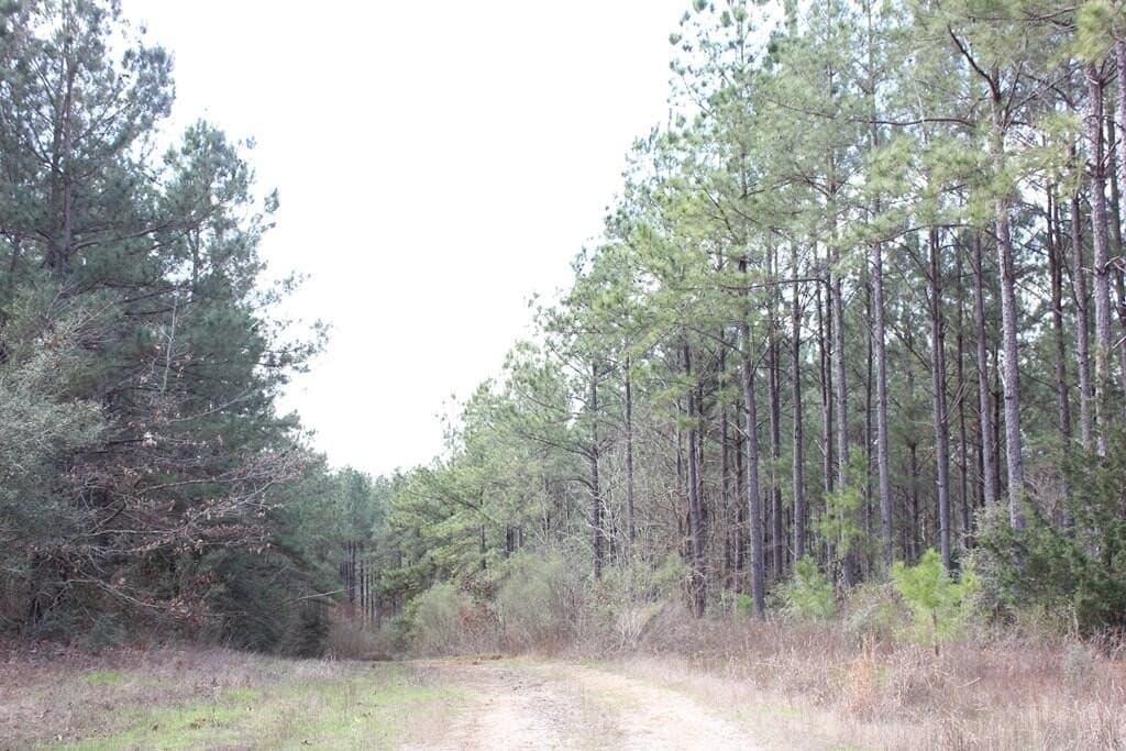 66.08 acres in Texas County - photo 4