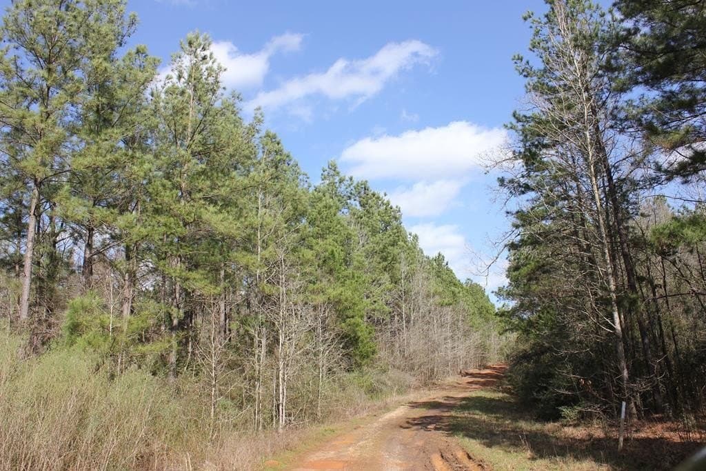 66.08 acres in Texas County - photo 13